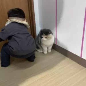 明日からGW休み～犬猫CAFEのサムネイル