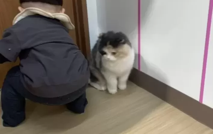 明日からGW休み～犬猫CAFE
